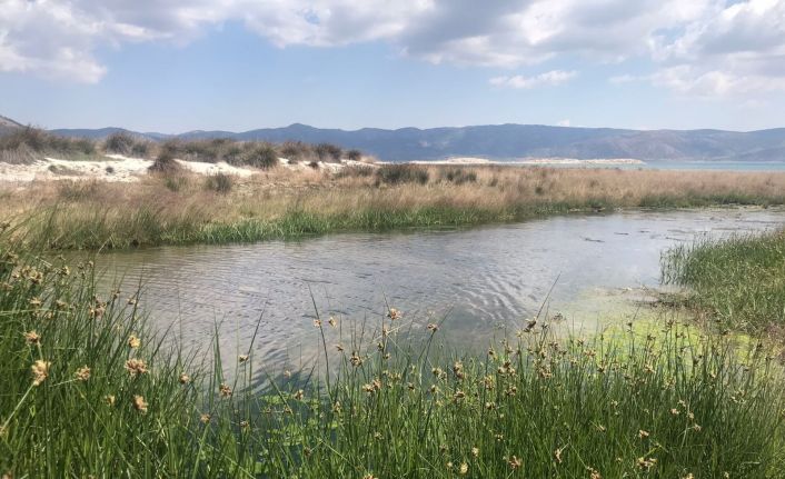 Burdur Çevre ve Şehircilik İl Müdürü Alacatlı: "Salda Gölü’nde herhangi bir kirlilik söz konusu değildir"