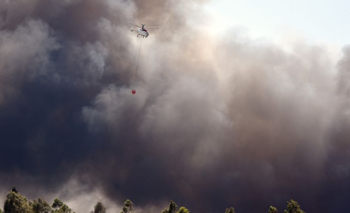 Dalaman Belediye Başkanı; “3 hektar yandı, kontrollü yanma devam ediyor”