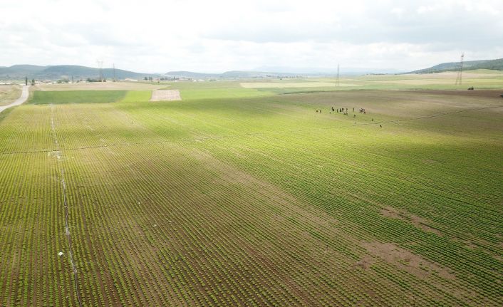 Eskişehir’de bu sulama sezonunda ekonomiye 900 milyon 250 bin liralık katkı hedefleniyor