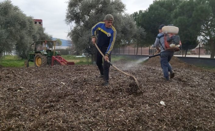 Herkes çöp diye yakıyordu, çok değerli bir gübre olduğu ortaya çıktı