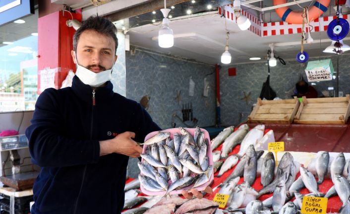 İstavrit, mezgit ve barbun tezgahlardaki yerini aldı