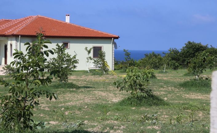 Kardeşini öldüren ağabeye müebbet hapis