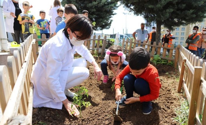 Kartallı minikler, yerli ve organik tarımın önemini hobi bahçelerinde öğreniyor