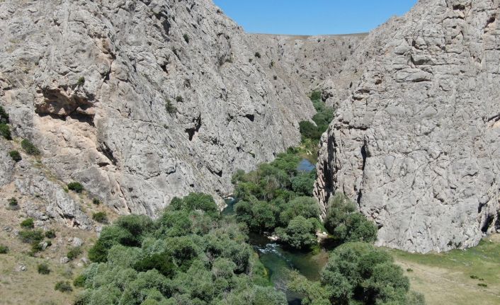 Kaymakam tanıtım için kendini Tohma çayının sularına bıraktı