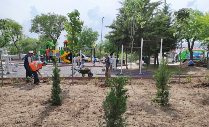 Keçiören’deki parklarda yeşil alan uygulaması