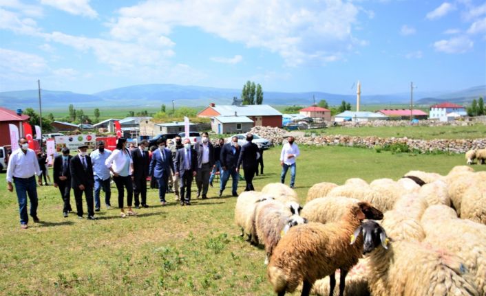 "Köyümde Yaşamak İçin Bir Sürü Nedenim Var" projesi kapsamında üreticilere koyun dağıtıldı