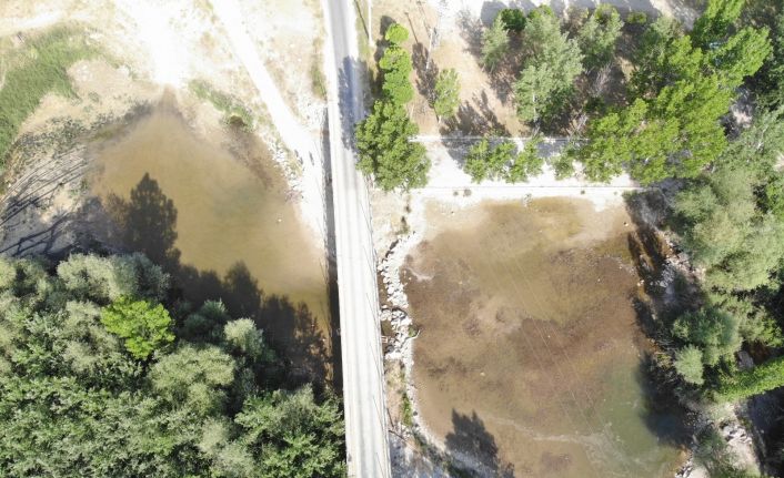 Koyunlar 8 asır sonra yapay gölette karşıdan karşıya atlayacak