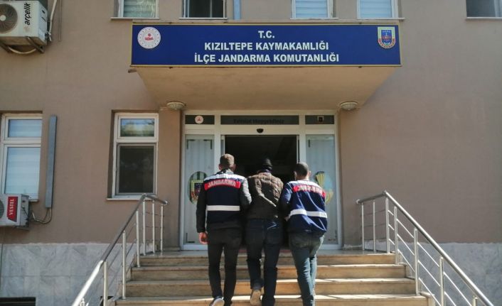 Mardin’de 10 yıl kesinleşmiş hapis cezası bulunan zanlı jandarma tarafından yakalandı