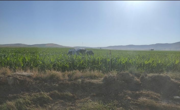 Mardin’de takla atarak mısır tarlasında devrilen araçta 1’i ağır, 4 kişi yaralandı