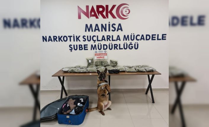 Narkotik köpeği ’Kiraz’ 12 kilo bonzai yakaladı