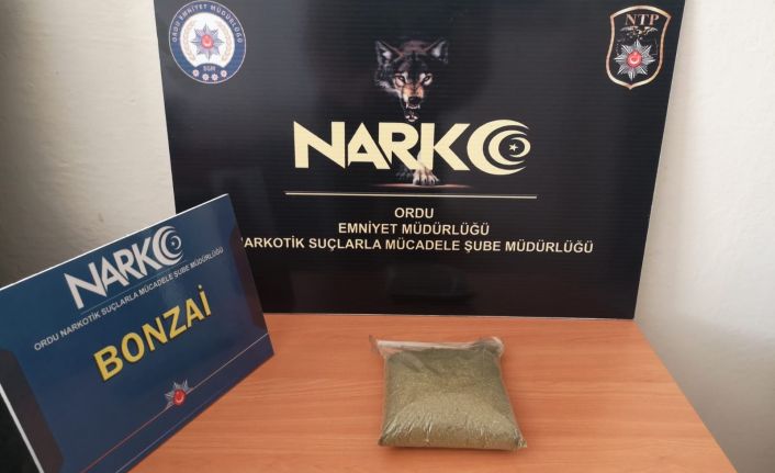 Ordu’da uyuşturucu operasyonu: 1 tutuklama