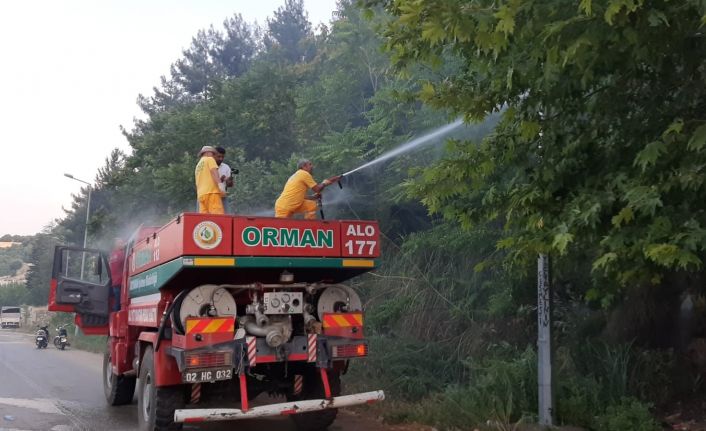 Orman yangını büyümeden söndürüldü
