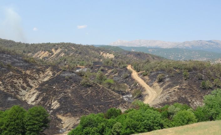 Orman yangınına havadan ve karadan müdahale sürüyor, yüzde 70 oranında kontrol altına alındı