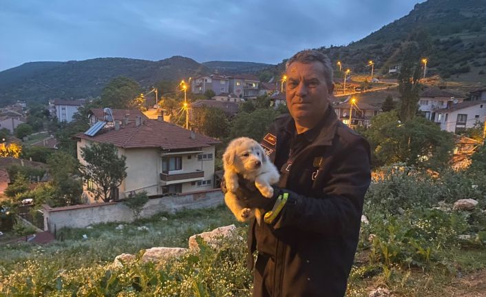 Otomobilin motor ile ön tekerleği arasına sıkışan yavru köpek kurtarıldı