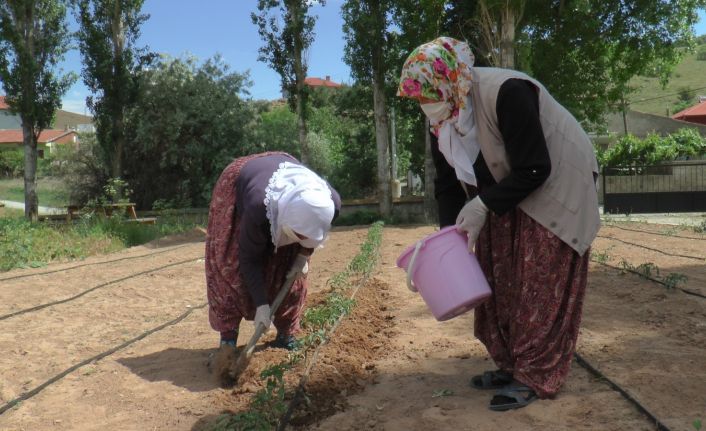 (ÖZEL) Çiftçi kadınlar yeni projeleri ile pandemide de üretmeye devam ediyor