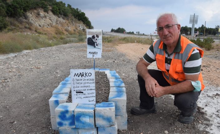(ÖZEL) Çok sevdiği köpeği ölünce acısı hafiflesin diye öldüğü yere sembolik mezar yaptırdı