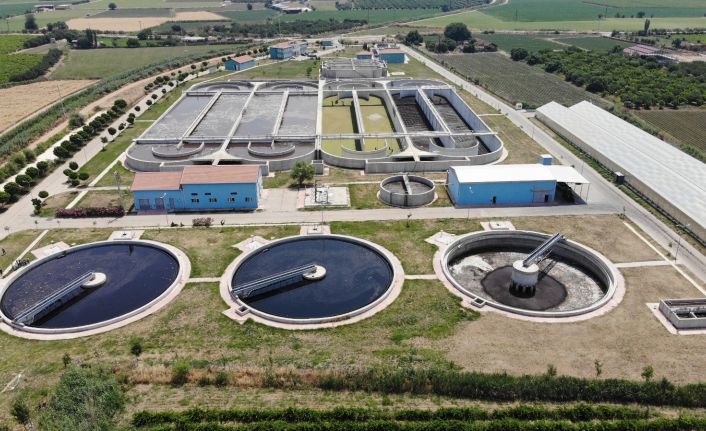 (Özel) Manisa, Ege’de deniz salyası olmasın diye çalışıyor