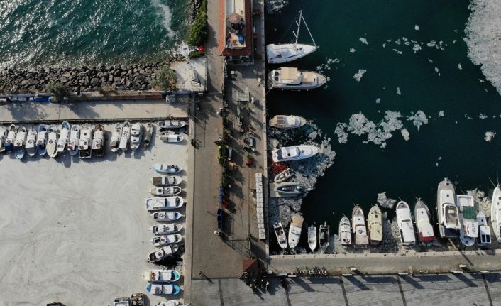 Prof. Dr. Yiğit: “Canlı avladığınız ya da tezgahlardaki balıkları tüketebilirsiniz”