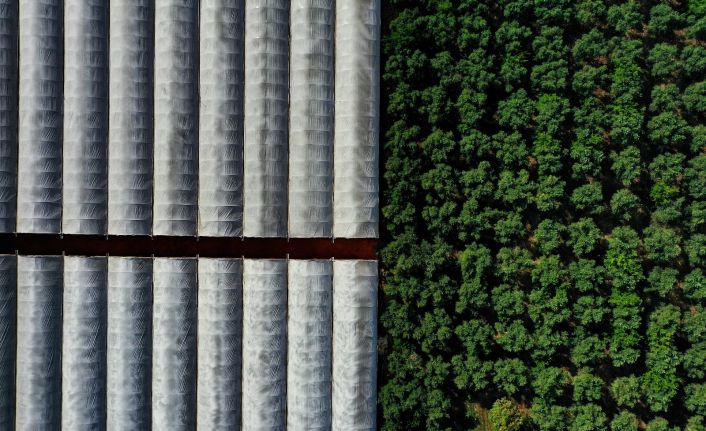 Sağlıklı Çevre Temiz Antalya  Fotoğraf Yarışması sonuçlandı