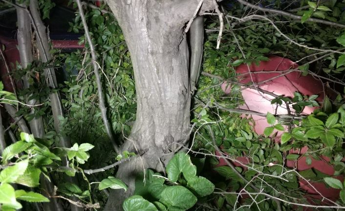Şarampole uçan 2 araçtaki sürücülerin hayatlarını uçuruma 2 metre kala ağaç kurtardı