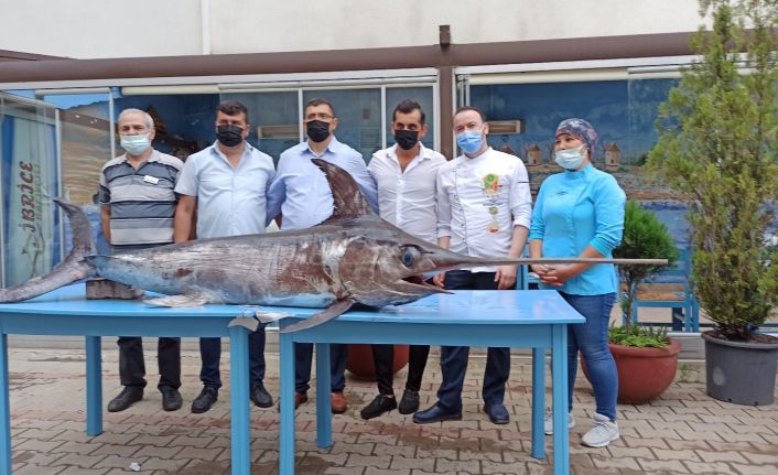 Saros Körfezi’nde yakalanan dev kılıçbalığı ilgi odağı oldu
