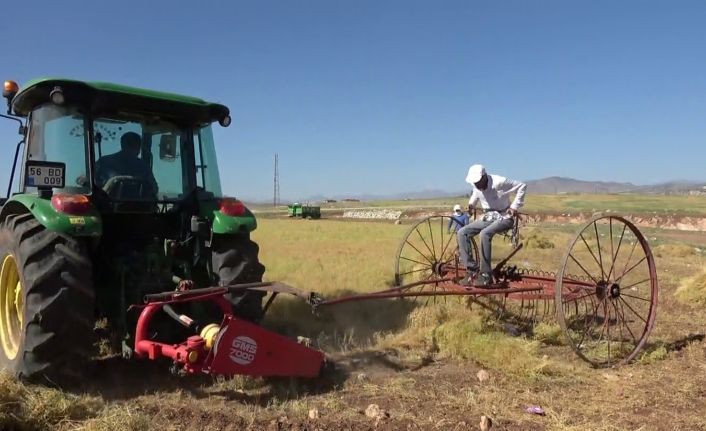 Siirt mercimek üretiminde Türkiye de ilk 5’te yer alırken kuraklığa yenik düştü