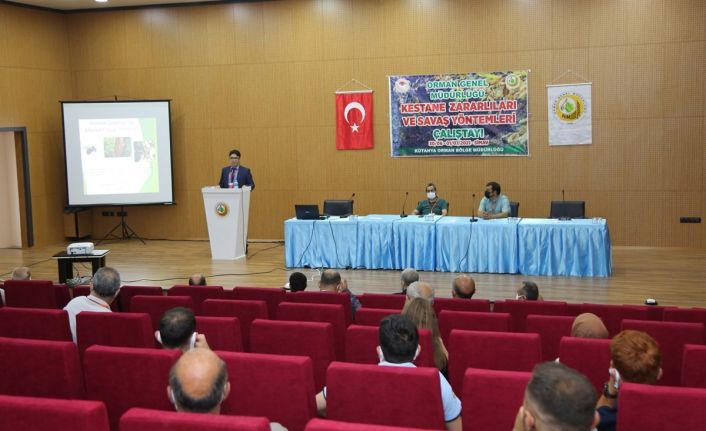 Simav kestanesinin geleceği çalıştayda ele alındı