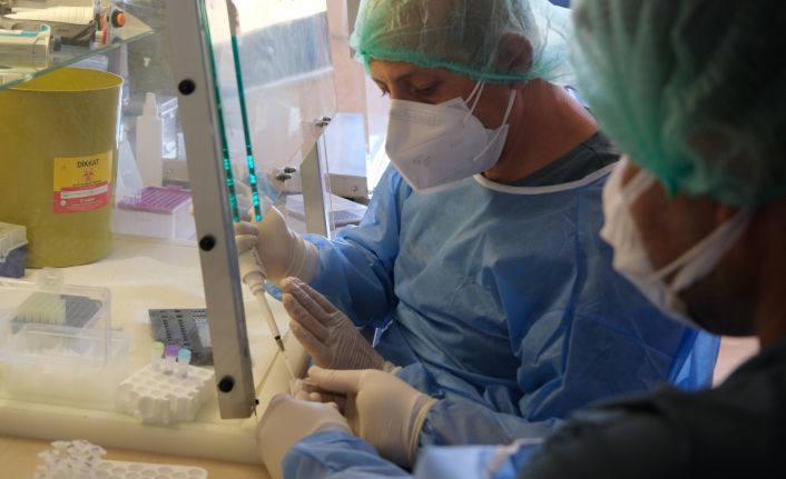 Sinovac’da 3’üncü ay sonuçları: Antikor düşse de hastalanan kişi sayısı yüzde 2’lerde kaldı
