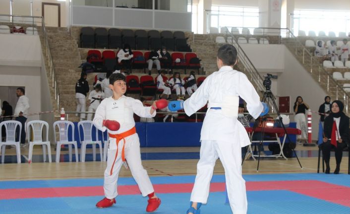 Sivas’ta ‘Karate İl Birinciliği’ müsabakaları yapıldı