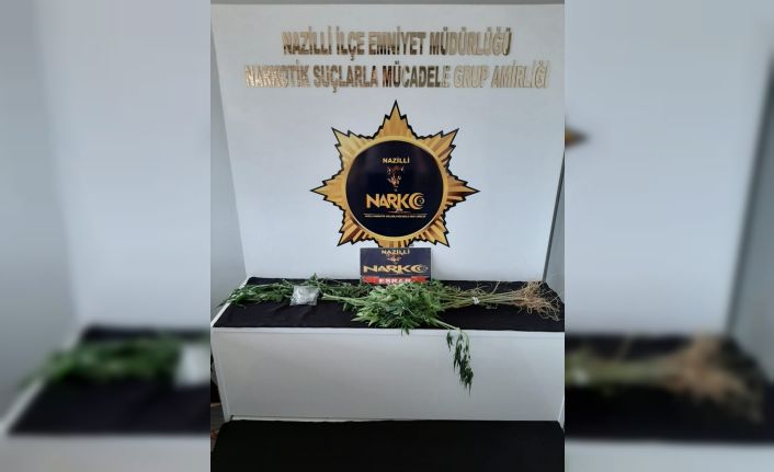 Sultanhisar’da 20 kök hint keneviri ele geçirildi