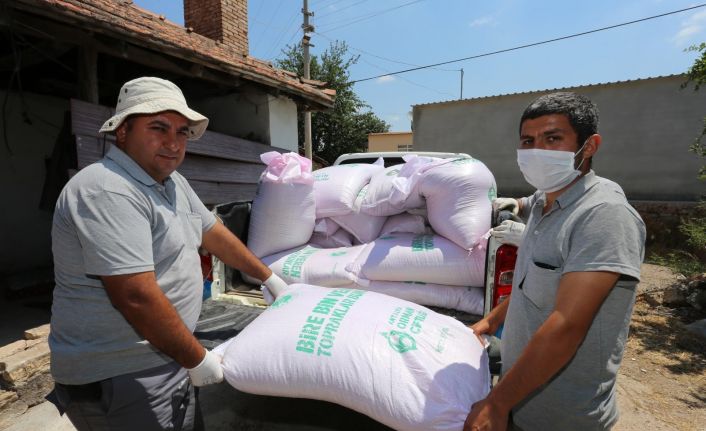 Tarlaları yanan  çiftçilere tohumluk buğdayları dağıtıldı