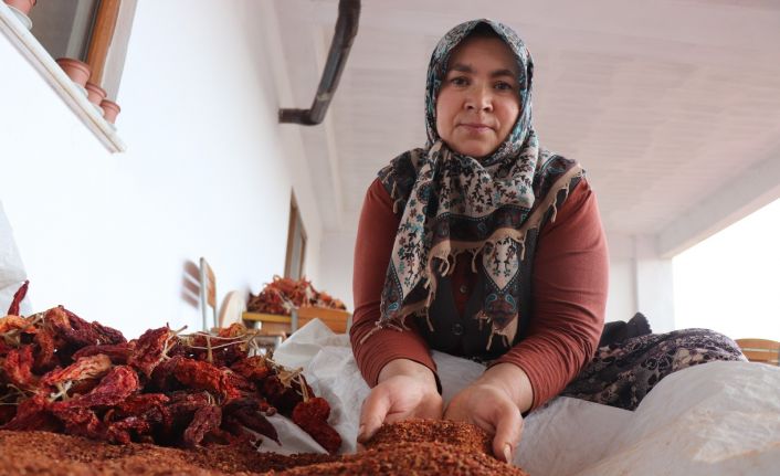 Tescilli biberde fidanlar toprakla buluştu