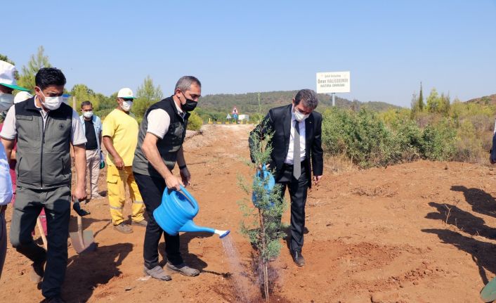 15 Temmuz kahramanı Halisdemir ormanına fidan dikimi