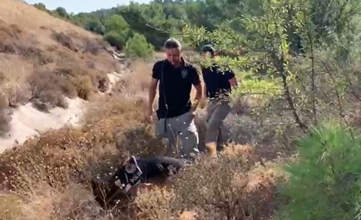 15 yıl sonra ortaya çıkan korkunç cinayet arsa yüzünden işlenmiş