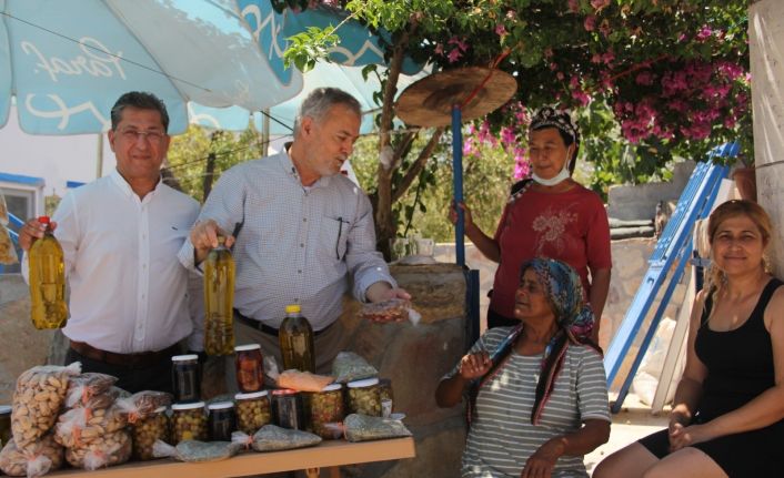 AK Partili Hıdır, Datça’da incelemelerde bulundu