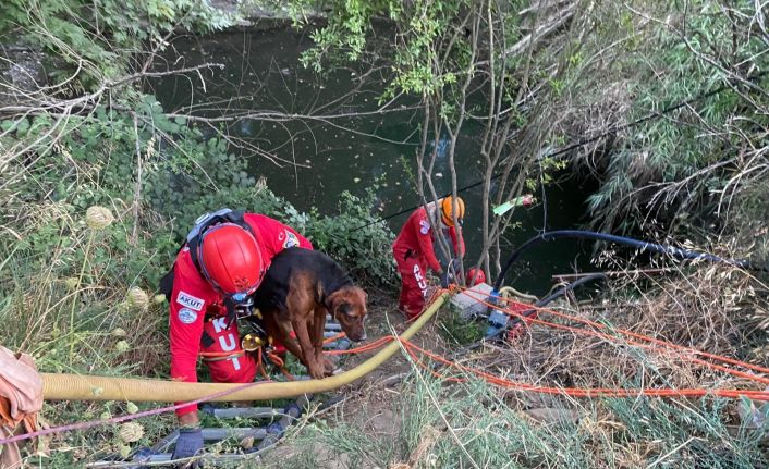 AKUT Kuşadası Ekibi Gölete Düşen Köpeğin Yardımına Koştu