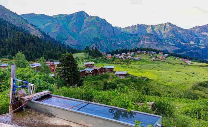 Artvin’in yaylalarında hayat hem zor hem keyifli