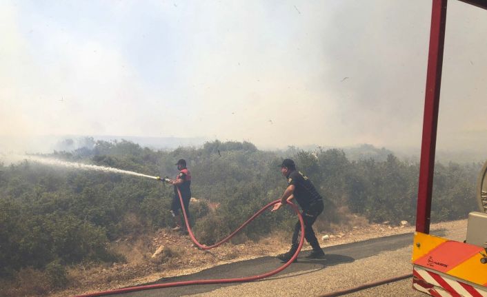 Aydın Büyükşehir Belediyesi gün boyu yangınlarla mücadele etti