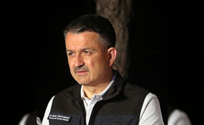 Bakan Pakdemirli: “Akşam saatlerinde 600 hektar kadar zarar tespit ettik ancak 3-4 misline çıkacağını görüyoruz”