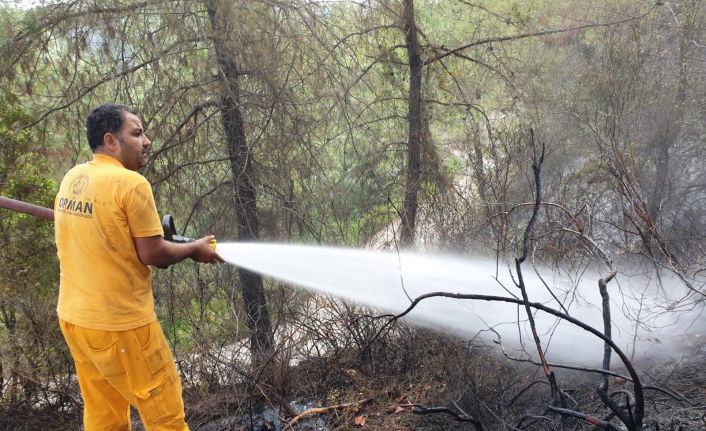 Bakan Pakdemirli: "Osmaniye’deki yangın kontrol altına alındı"