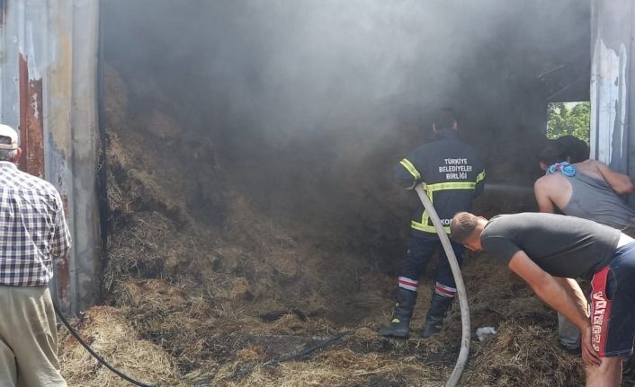 Besihanede çıkan yangında 800’e yakın saman balyası yandı