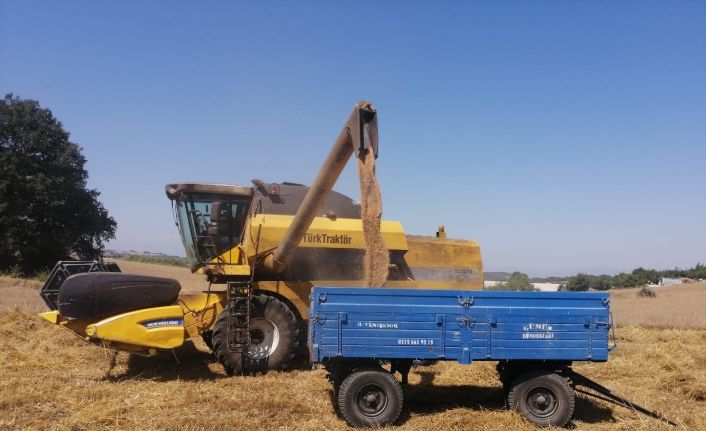 Bilecik’te buğday hasadı başladı