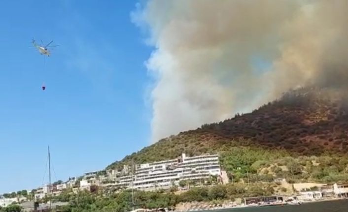 Bodrum’daki yangın kısa sürede büyüdü, mahallenin boşaltılması için anons yapılıyor