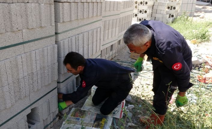 Briketler arasında mahsur kalan yavru köpek kurtarıldı