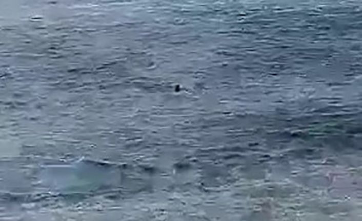 Çayeli sahilinde kaybolan şahsın cesedi 182 km uzaklıkta Gürcistan’ın Poti kentinde bulundu