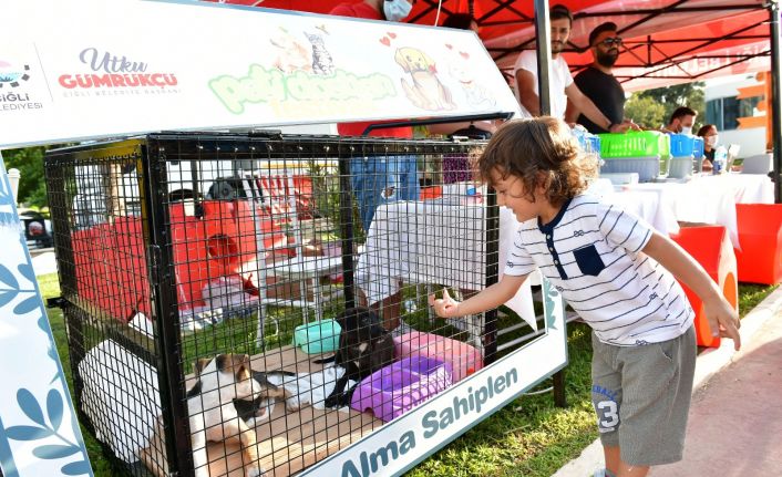 Çiğli’de 3. Pati Dostları Festivaline yoğun ilgi