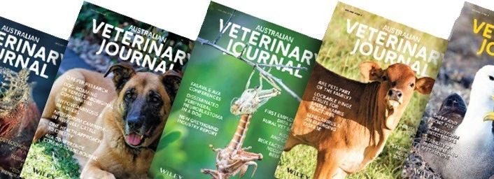 Covid-19 olan evcil kediyle ilgili makale Australian Veterinary Journal’da yayınlanmak üzere kabul edildi