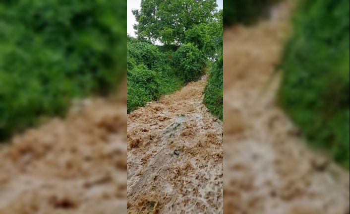 Dağ köyleri sele teslim