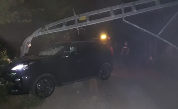 Domuza çarpmamak için direğe çarptı: 1 yaralı