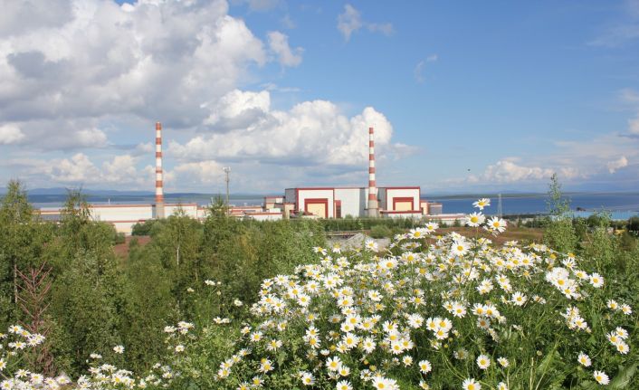 Dünya Nükleer Derneği Raporu: “Küresel sorunların çözümünde doğru adres nükleer enerji”